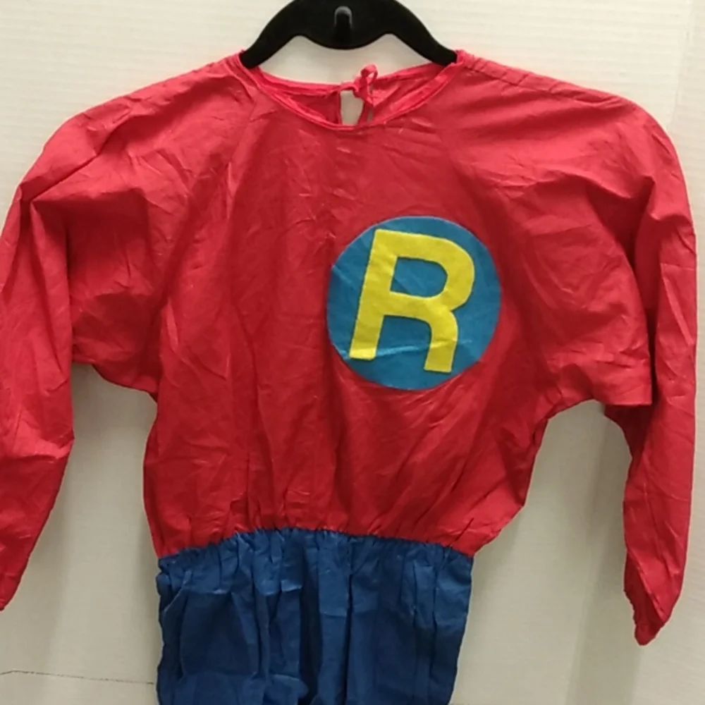 Robin of Batman Homemade Costume